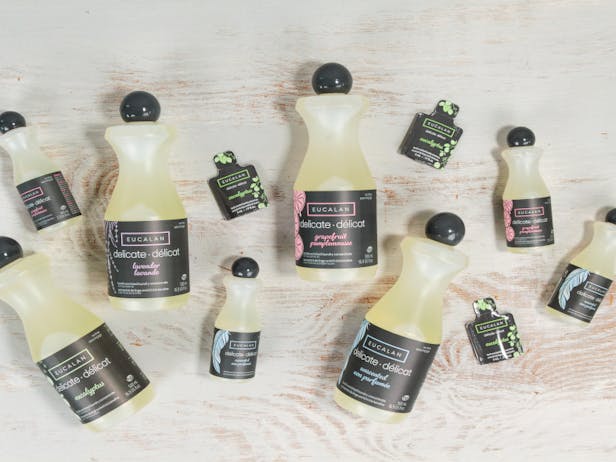 Caring for your Projects article